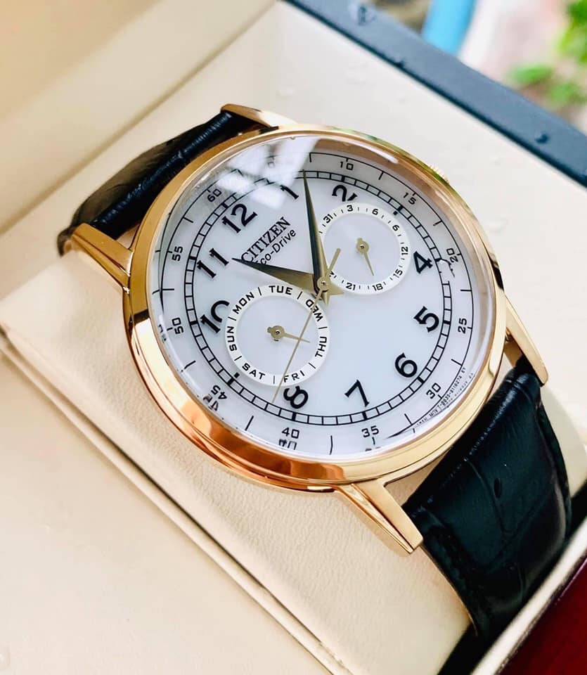 Buy Shop Citizen Watch Eco Drive Day & Date White Dial Black Leather Strap Watch For Men - AO9003-16A USA Online