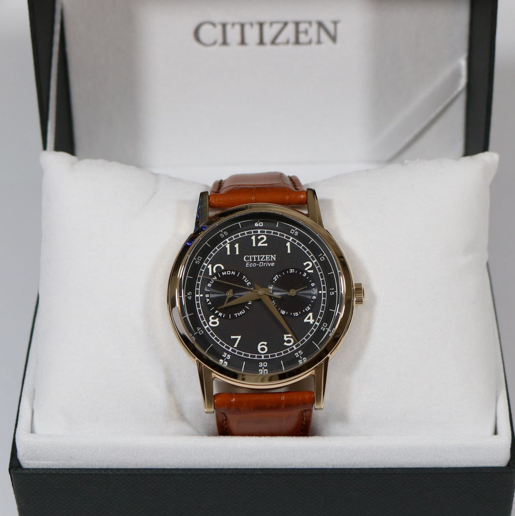 Buy Shop Citizen Eco Drive Multi Function Day & Date Black Dial Brown Leather Strap Watch For Men - AO9003-08E USA Online