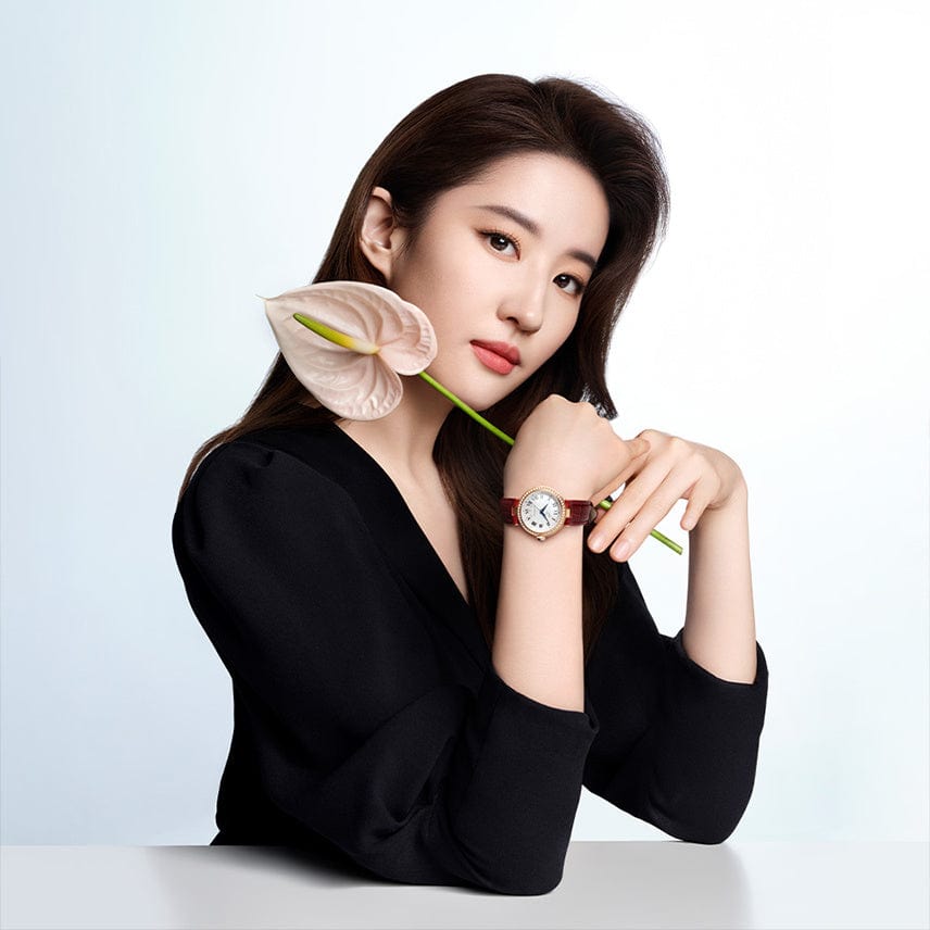 Buy Shop Tissot Bellissima Small Lady Diamonds Silver Dial Brown Leather Strap Watch For Women - T126.207.66.113.00 USA Online