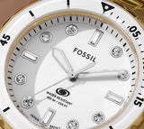 Fossil Blue Dive Three Hand White Dial Gold Steel Strap Watch For Women - ES5350