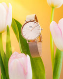 Buy Shop Daniel Wellington Petite Rose Gold Dial Rose Gold Mesh Bracelet Watch For Women - DW00100471 USA Online