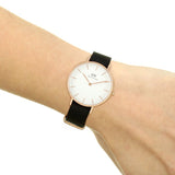 Buy Shop Daniel Wellington Classic Petite Cornwall White Dial Green NATO Strap Watch For Women - DW00100253 USA Online