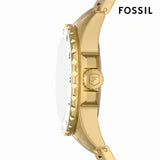 Fossil Blue Dive Three Hand White Dial Gold Steel Strap Watch For Women - ES5350