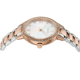 Buy Shop Emporio Armani Cleo Mother of Pearl Dial Two Tone Steel Strap Watch For Women - AR11499 USA Online