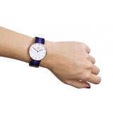 Buy Shop Daniel Wellington Classic Swansea White Dial Two Tone Nylon Strap Watch For Women - 0504DW USA Online