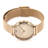 Buy Shop Emporio Armani Kappa Pink Dial Pink Mesh Bracelet Watch For Women - AR11129 USA Online