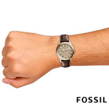 Buy Shop Fossil Grant Chronograph Brown Dial Brown Leather Strap Watch for Men - FS5214 USA Online