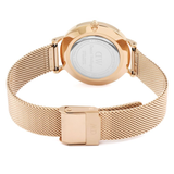 Buy Shop Daniel Wellington Classic Melrose Black Dial Rose Gold Mesh Bracelet Watch For Women - DW00100161 USA Online