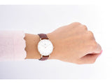Buy Shop Daniel Wellington Petite St Mawes White Dial Brown Leather Strap Watch For Women - DW00100175 USA Online
