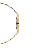 Buy Shop Daniel Wellington Classic Petite Evergold White Dial Gold Mesh Bracelet Watch For Women - DW00100346 USA Online