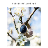 Buy Shop Daniel Wellington Classic Petite Melrose Black Dial Rose Gold Mesh Bracelet Watch For Women - DW00100217 USA Online