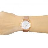 Buy Shop Calvin Klein Minimal White Dial Rose Gold Mesh Bracelet Watch for Women - K3M23626 USA Online