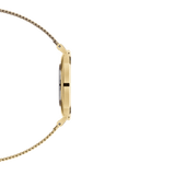 Buy Shop Daniel Wellington Classic Petite Evergold White Dial Gold Mesh Bracelet Watch For Women - DW00100350 USA Online