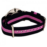 Buy Shop Daniel Wellington Classy Winchester White Dial Two Tone NATO Strap Watch For Women - DW00100081 USA Online