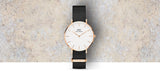 Buy Shop Daniel Wellington Classic Petite Cornwall White Dial Green NATO Strap Watch For Women - DW00100253 USA Online