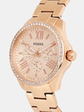 Buy Shop Fossil Cecile Rose Gold Dial Rose Gold Steel Strap Watch for Women - AM4483 USA Online