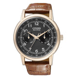 Citizen Eco Drive Multi Function Day & Date Black Dial Brown Leather Strap Watch For Men - AO9003-08E