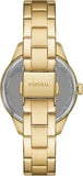 Buy Shop Fossil Rye Automatic Skeleton Gold Dial Gold Steel Strap Watch for Women - BQ3755 USA Online