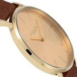 Buy Shop Coach Perry Analog Gold Dial Brown Leather Strap Watch for Women - 14503331-C USA Online