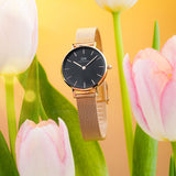 Buy Shop Daniel Wellington Classic Petite Melrose Black Dial Rose Gold Mesh Bracelet Watch For Women - DW00100217 USA Online