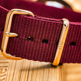 Buy Shop Daniel Wellington Classic Roselyn White Dial Maroon Nylon Strap Watch For Women - DW00100267 USA Online