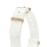 Buy Shop Daniel Wellington Classic Petite Dover White Dial White Nylon Strap Watch For Women - DW00100311 USA Online