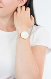 Buy Shop Daniel Wellington Classic Petite Evergold White Dial Gold Mesh Bracelet Watch For Women - DW00100346 USA Online
