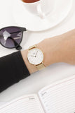 Buy Shop Daniel Wellington Classic Petite White Dial Gold Mesh Bracelet Watch For Women - DW00100348 USA Online