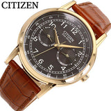 Citizen Eco Drive Multi Function Day & Date Black Dial Brown Leather Strap Watch For Men - AO9003-08E