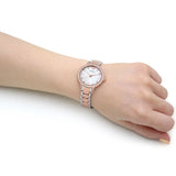 Buy Shop Emporio Armani Cleo Mother of Pearl Dial Two Tone Steel Strap Watch For Women - AR11499 USA Online