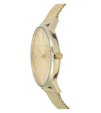 Buy Shop Armani Exchange Lola Analog Gold Dial Gold Mesh Strap Watch For Women - AX5536 USA Online