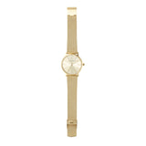 Buy Shop Armani Exchange Lola Analog Gold Dial Gold Mesh Strap Watch For Women - AX5536 USA Online