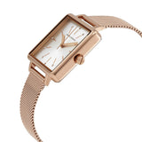 Buy Shop Armani Exchange Lola Quartz Silver Dial Rose Gold Mesh Strap Watch For Women - AX5802 USA Online