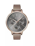 Hugo Boss Symphony Grey Dial Gold Mesh Bracelet Watch for Women - 1502424