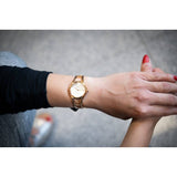 Buy Shop Calvin Klein Class White Dial Rose Gold Steel Strap Watch for Women - K6R23626 USA Online
