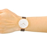 Buy Shop Calvin Klein Even White Dial Brown Leather Strap Watch for Women - K7B236G6 USA Online