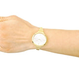 Buy Shop Calvin Klein Lively White Dial Gold Steel Strap Watch for Women - K4U23526 USA Online