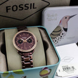 Buy Shop Fossil Tailor Analog Brown Dial Brown Steel Strap Watch for Women - ES4258 USA Online