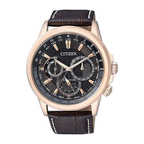 Buy Shop Citizen Eco Drive Calendrier Black Dial Brown Leather StrapWatch For Men - BU2023-12E USA Online