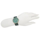 Buy Shop Coach Perry Green Dial Green Leather Strap Watch for Women - 14503383-C USA Online