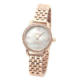 Buy Shop Coach Delancey Mother of Pearl White Dial Rose Gold Steel Strap Watch for Women - 14502479 USA Online