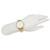 Buy Shop Coach Delancey White Dial Gold Steel Strap Watch for Women - 14502241 USA Online
