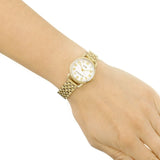 Buy Shop Coach Delancey White Dial Gold Steel Strap Watch for Women - 14502241 USA Online