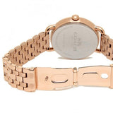 Buy Shop Coach Delancey White Dial Rose Gold Steel Strap Watch for Women - 14502262 USA Online