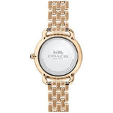 Buy Shop Coach Delancey White Dial Rose Gold Steel Strap Watch for Women - 14502783 USA Online