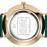 Buy Shop Coach Green Dial Green Leather Strap Watch for Women - 14503383 USA Online