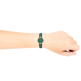 Buy Shop Coach Park Analog Green Dial Green Leather Strap Watch for Women - 14503534 USA Online