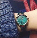 Buy Shop Coach Park Analog Green Dial Green Leather Strap Watch for Women - 14503534 USA Online