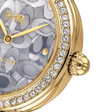 Buy Shop Coach Park Blue Dial Gold Steel Strap Watch for Women - 14503225 USA Online