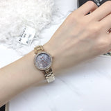 Buy Shop Coach Park Crystal Dial Rose Gold Steel Strap Watch for Women - 14503226 USA Online